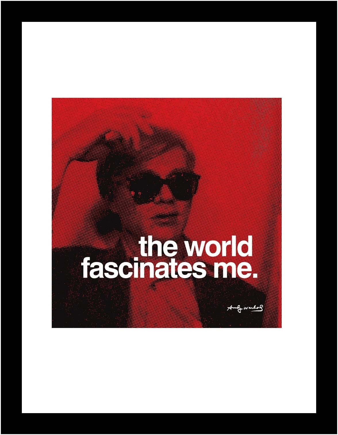 Andy Warhol Poster Kunstdruck Bild im Rahmen The world fascinates me 36x28cm - Bild 1 von 1